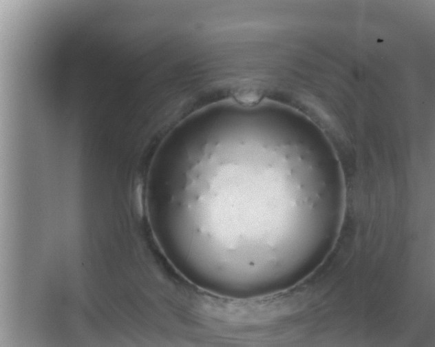 X0000072990022200607290025