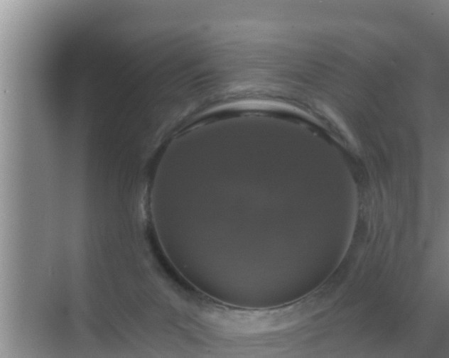 X0000072990023200607290025