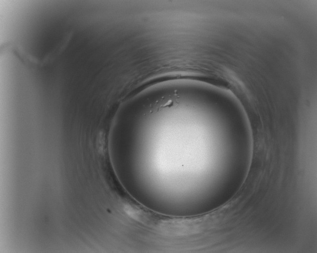 X0000072990025200607290025