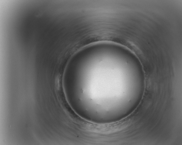 X0000072990026200607290025