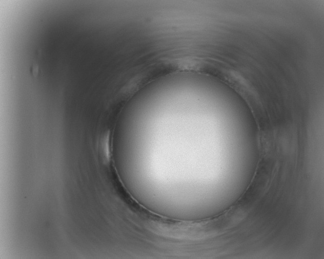 X0000072990028200607290025