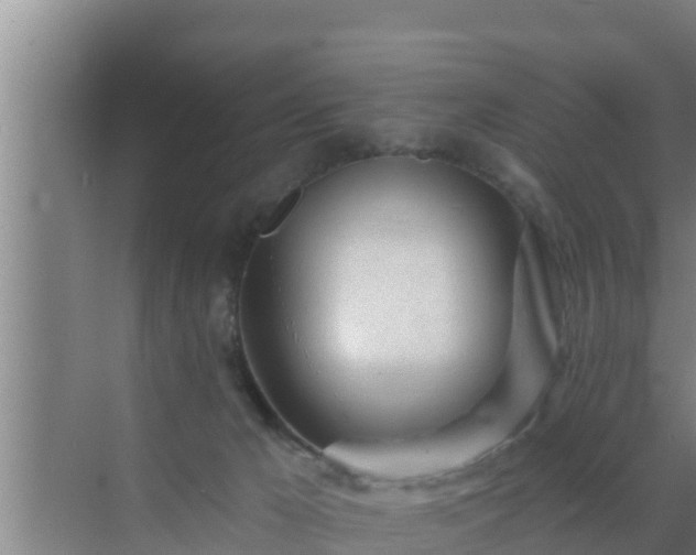 X0000072990029200607290025