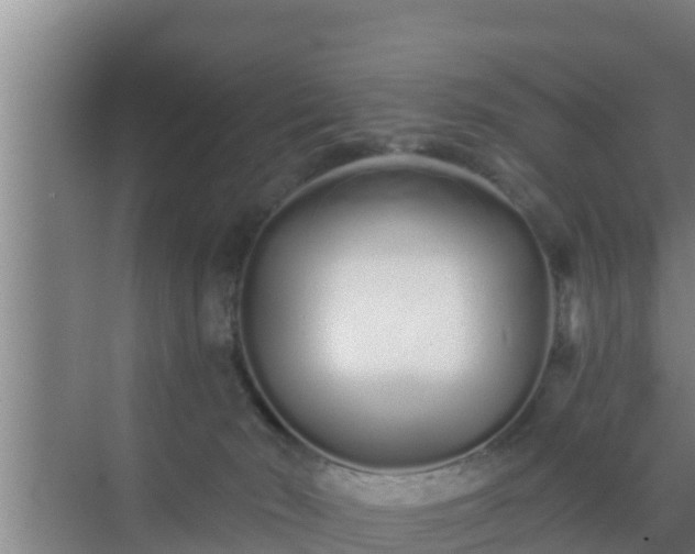 X0000072990030200607290025