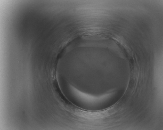 X0000072990031200607290025