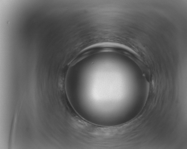 X0000072990033200607290025