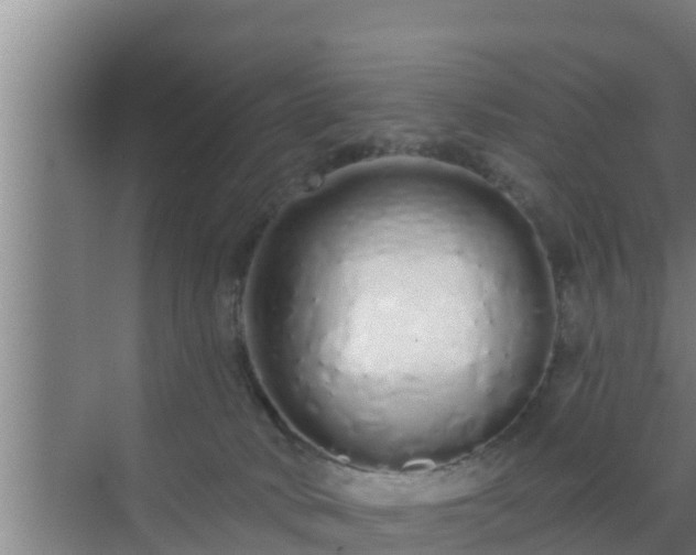 X0000072990034200607290025