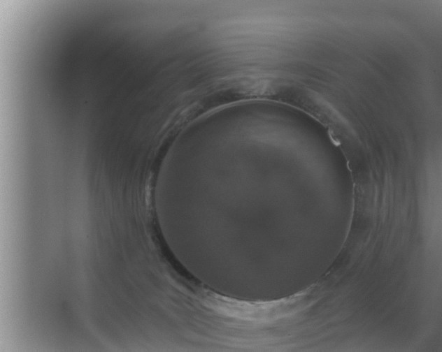 X0000072990035200607290025