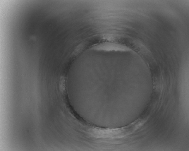 X0000072990036200607290025