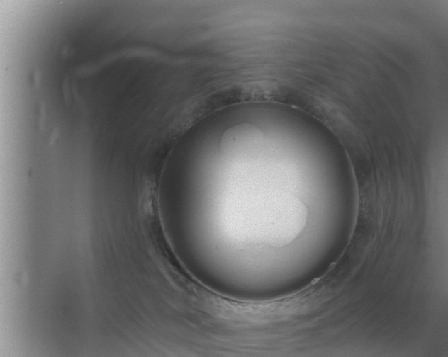 X0000072990038200607290025