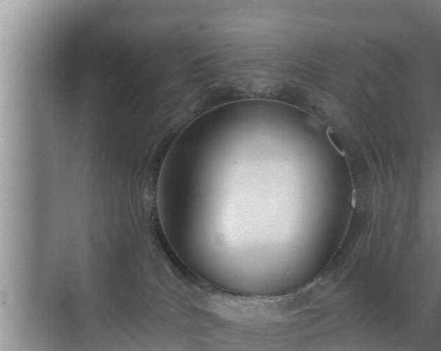 X0000072990040200607290025