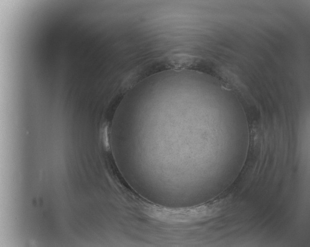 X0000072990042200607290025