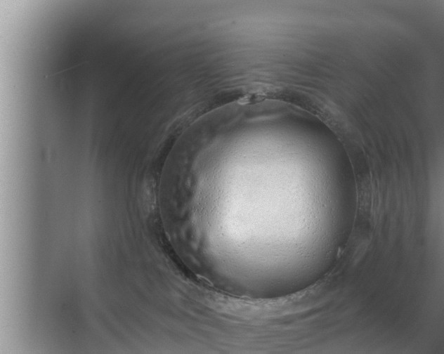 X0000072990043200607290025