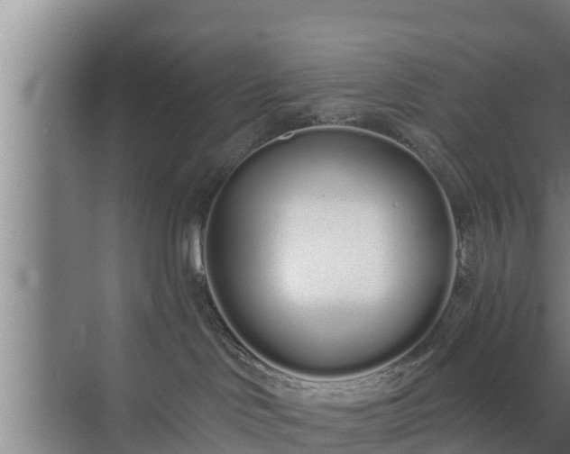 X0000072990046200607290025