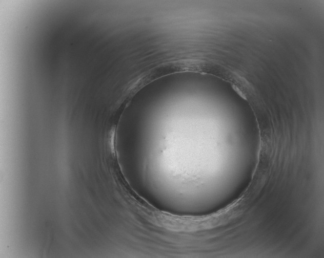 X0000072990047200607290025