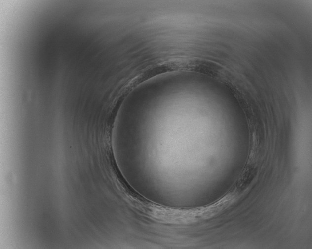 X0000072990048200607290025