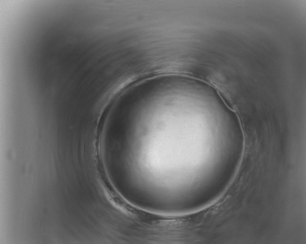 X0000072990050200607290024