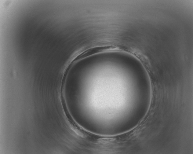 X0000072990051200607290024