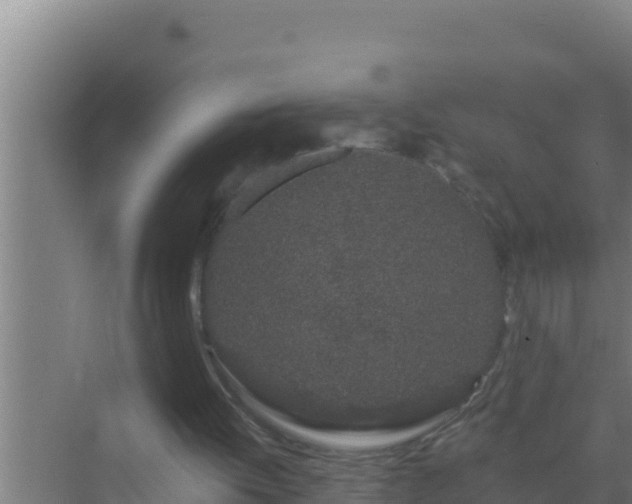 X0000072990052200607290024