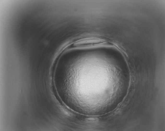 X0000072990053200607290024