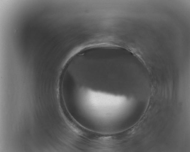 X0000072990054200607290024