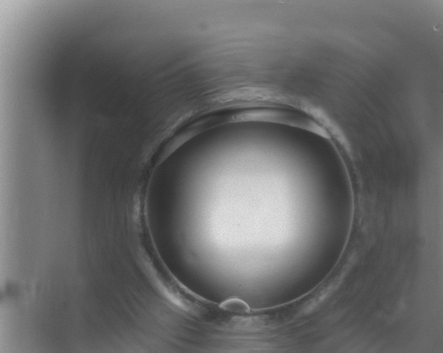 X0000072990057200607290024