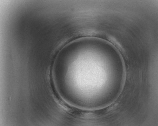 X0000072990058200607290024