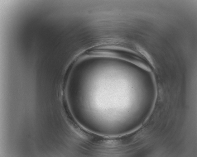 X0000072990059200607290024