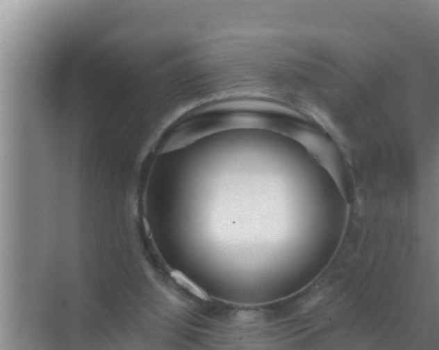 X0000072990060200607290024