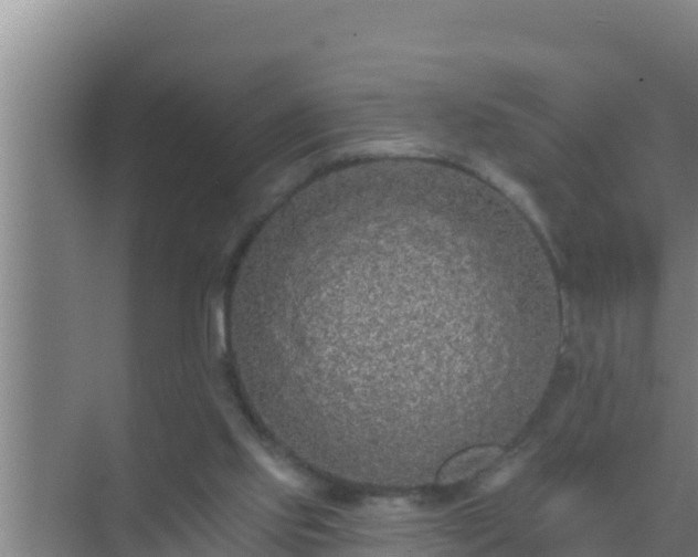 X0000072990061200607290024