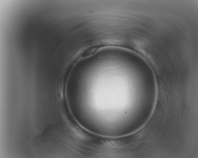 X0000072990062200607290024