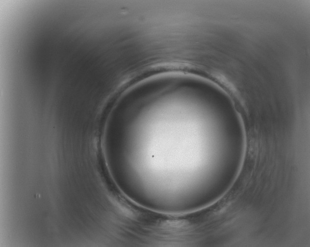 X0000072990063200607290024