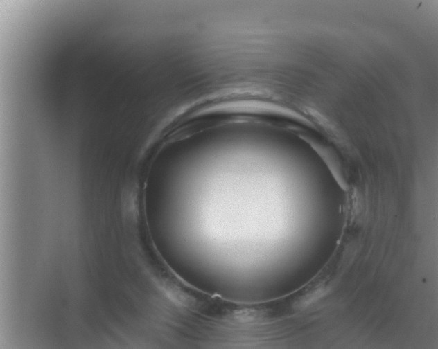 X0000072990064200607290024