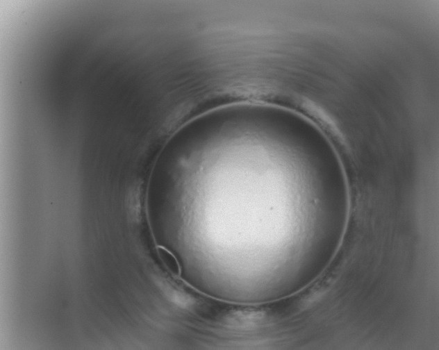 X0000072990065200607290024