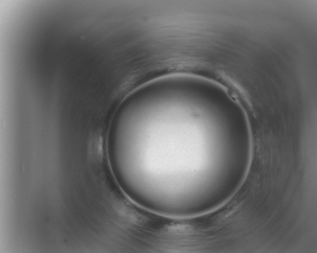 X0000072990067200607290024