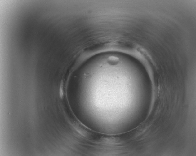 X0000072990069200607290024