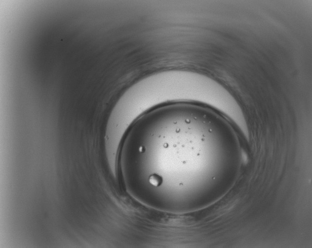 X0000072990072200607290025