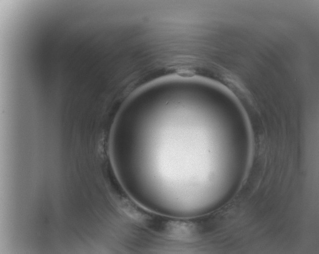 X0000072990073200607290025