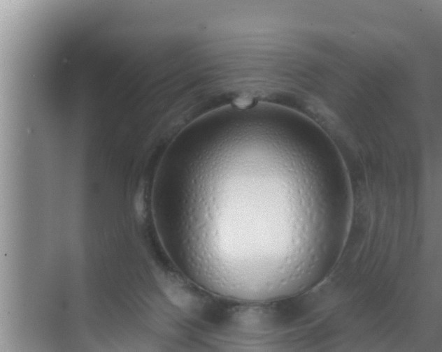 X0000072990074200607290025