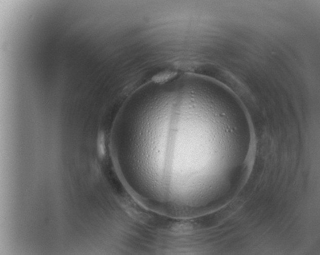 X0000072990075200607290025