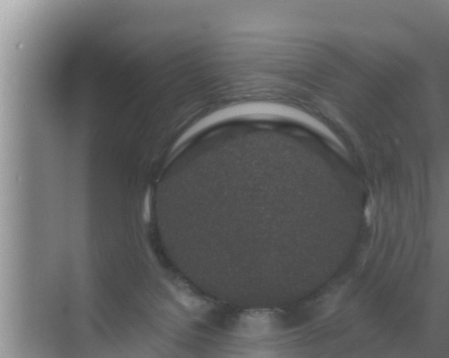 X0000072990076200607290025