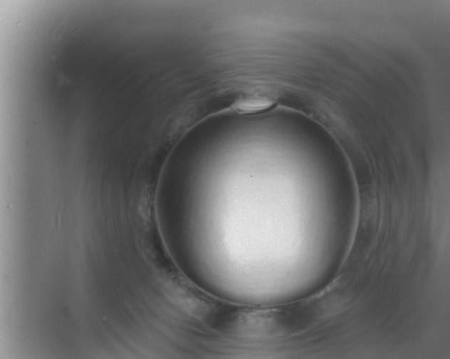 X0000072990078200607290025