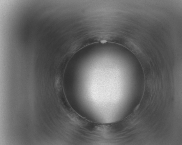 X0000072990079200607290025