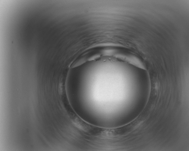 X0000072990080200607290025