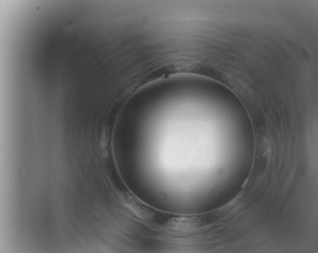 X0000072990082200607290025