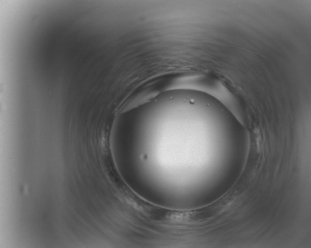 X0000072990084200607290025