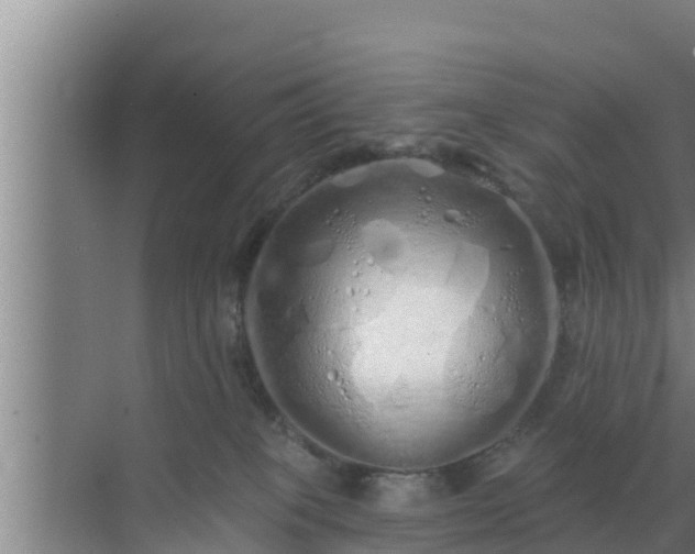 X0000072990085200607290025