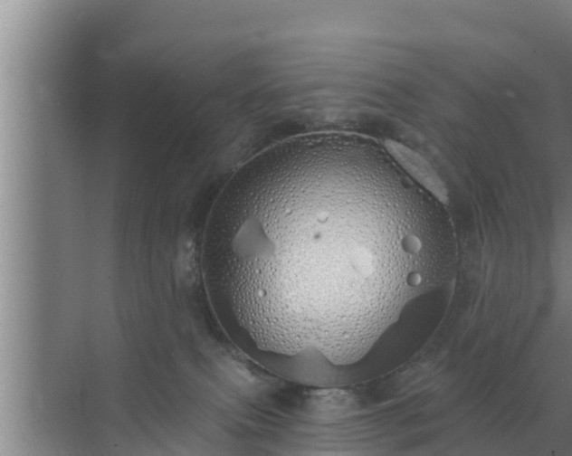 X0000072990087200607290025