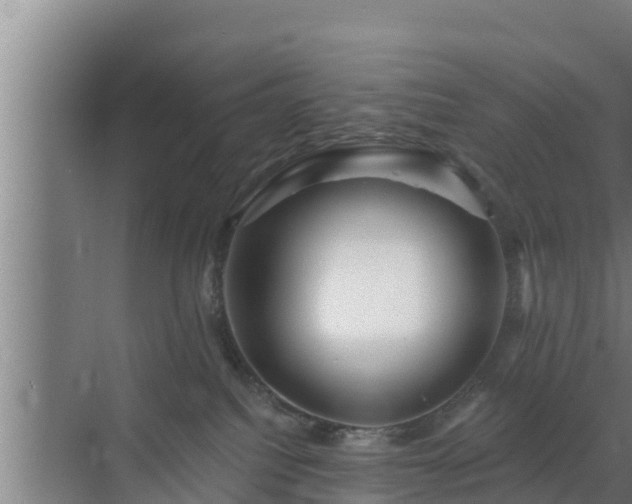 X0000072990088200607290025