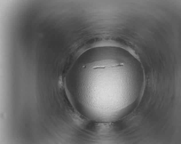 X0000072990089200607290025