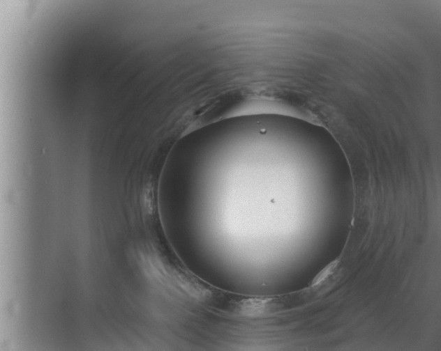 X0000072990090200607290025